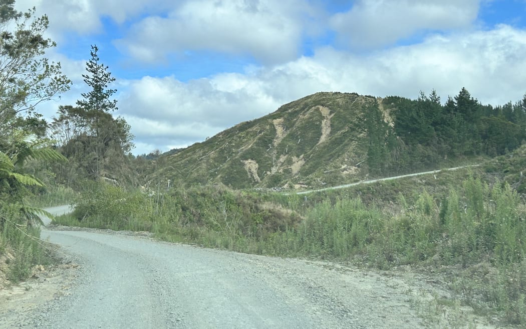The convoy travels through remote logging roads.