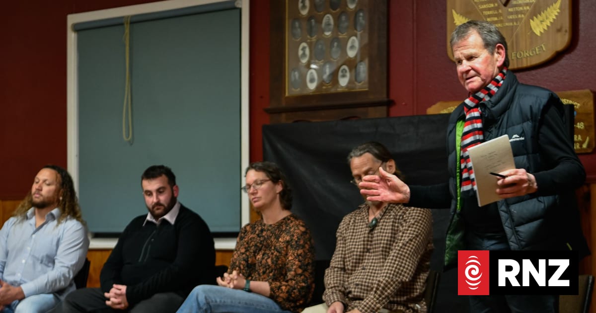 Merge councils to slash elected reps by 95 percent: Councillor | RNZ