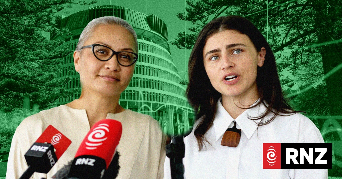 Greens propose wealth, corporate, and inheritance taxes to f
