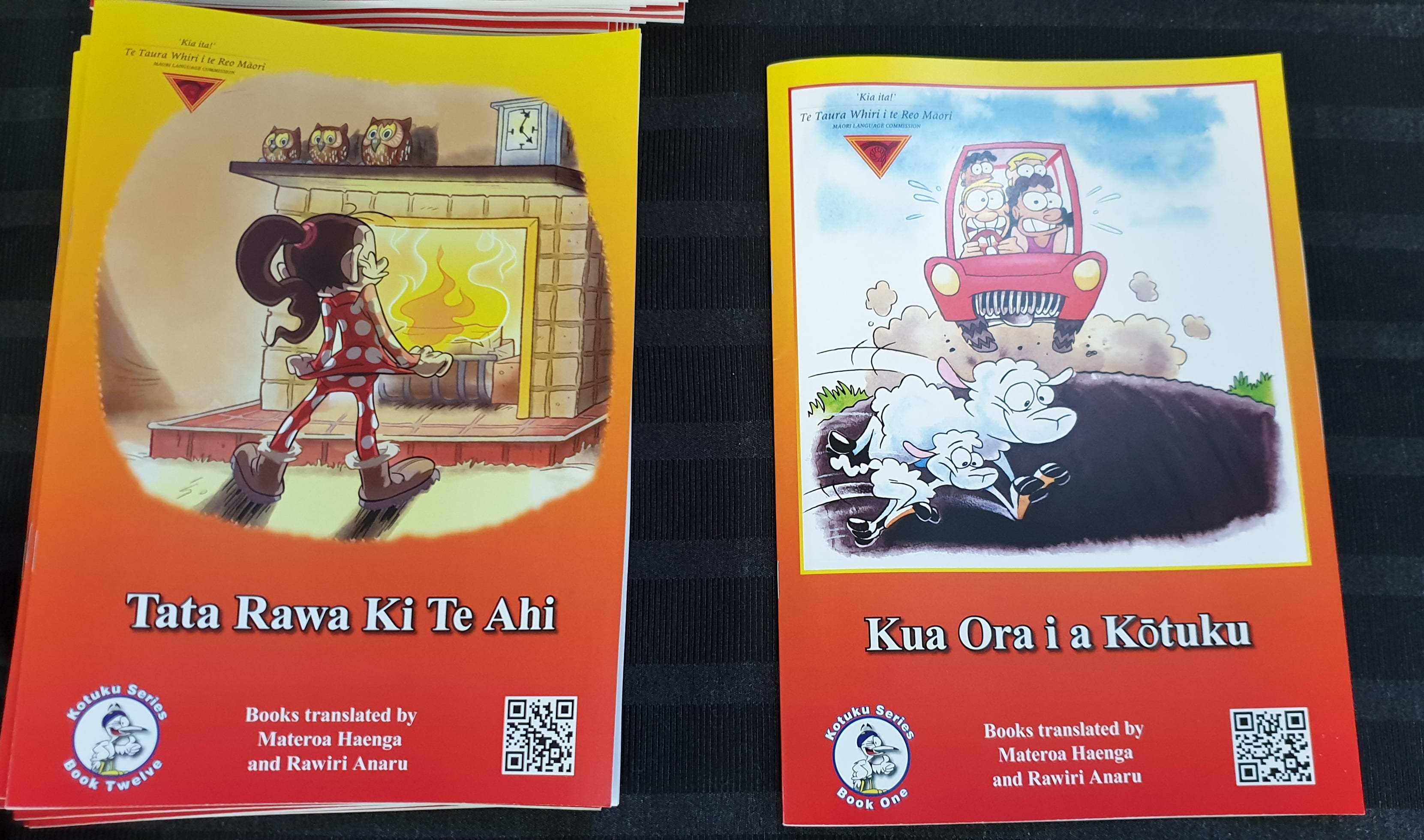 Risk resource from the Te Kōtuku Bilingual Risk Reduction Programme