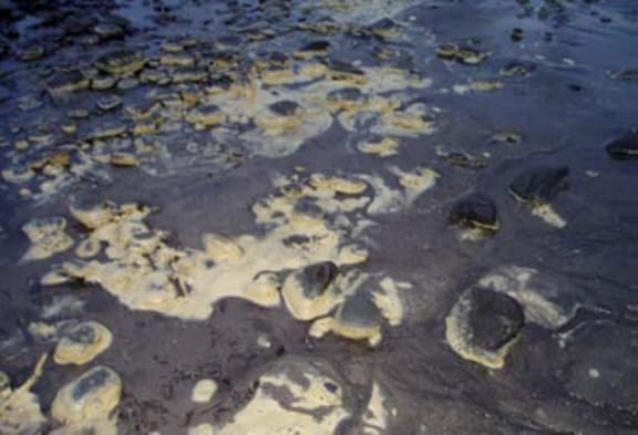 Scum on the beach in Taranaki from skim milk discharged in September 2008.