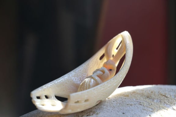 Tāonga Pūoro