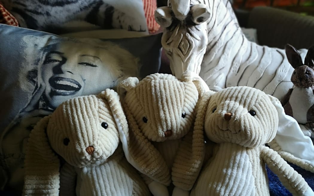 Peter’s love of animals was reflected in his decor. Soft animal toys and cushions with animal pictures abound.