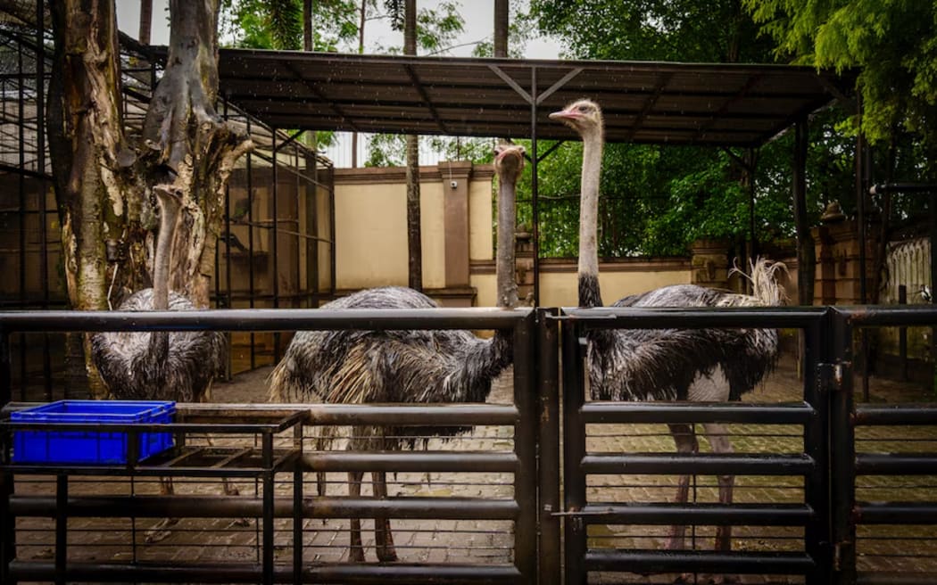 Alshad Ahmad spent five years building his collection of wildlife.