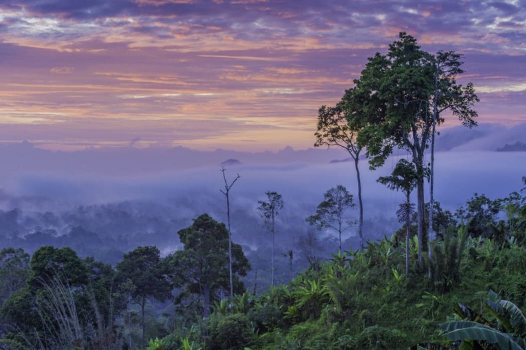 Papua New Guinea.
