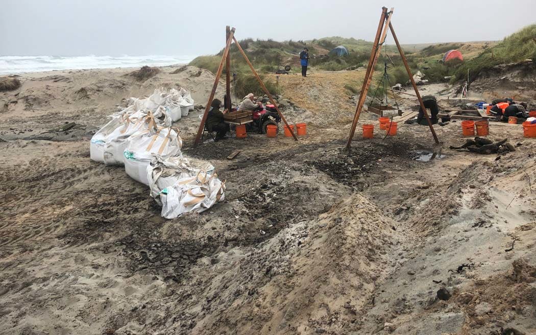 Rēkohu-Wharekauri-Chatham Island waka excavation site