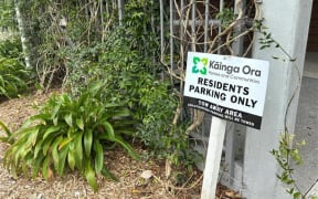 Kainga Ora housing complex Mt Wellington. Pictured on 31 October 2023.