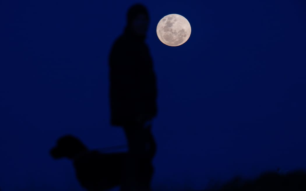 A man with his dog looks at the super blue moon as it rises above the sea in New Brighton, Christchurch, New Zealand on August 31, 2023. The blue moon is a term used to describe the second full moon in a single calendar month. But this year's blue moon also coincides with a supermoon, which is when the moon is at its closest point to Earth in its elliptical orbit, appearing larger and brighter than usual. It’s exceptionally close in Moon miles from Earth (222,043 miles). The last super blue moon occurred in 2009, and the next won’t be until 2037 according to NASA. (Photo by Sanka Vidanagama/NurPhoto) (Photo by SANKA VIDANAGAMA / NurPhoto / NurPhoto via AFP)