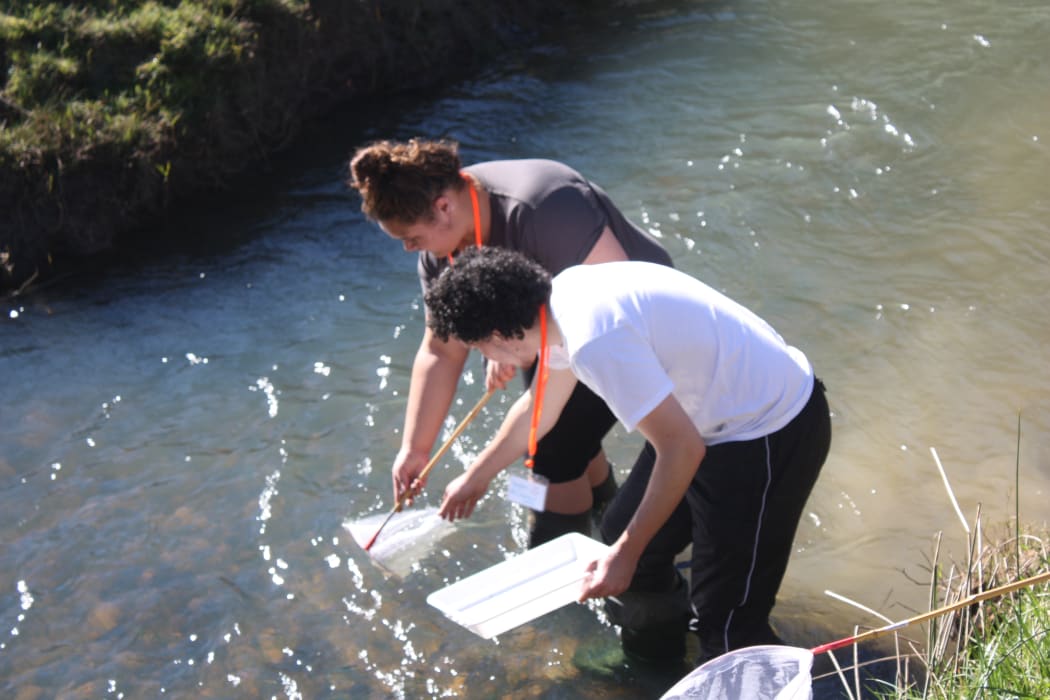 Tolaga Bay area school students taking part in the Uawanui project.