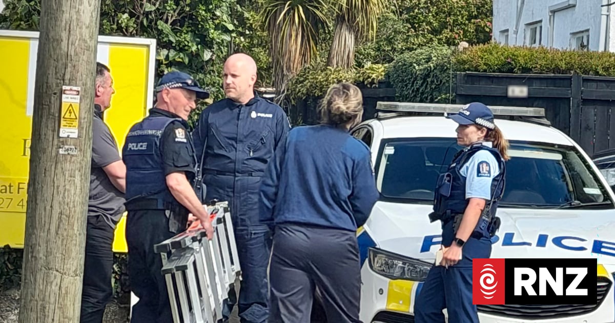 Children killed in Rotorua home were 11 months and 3 years old, police say