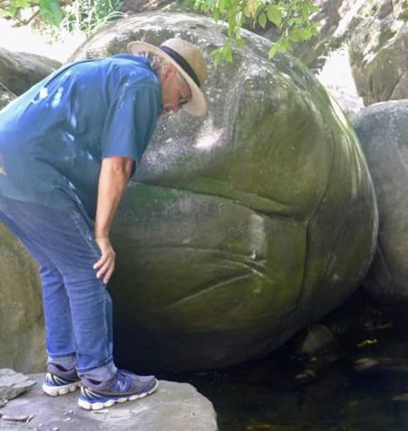 Dr Whaanga standing in front of one of the round boulders called ‘He Taro a Kea’. The story of these boulders will be given in Chapter 2 Ancestral marks upon the land at Taipōrutu.