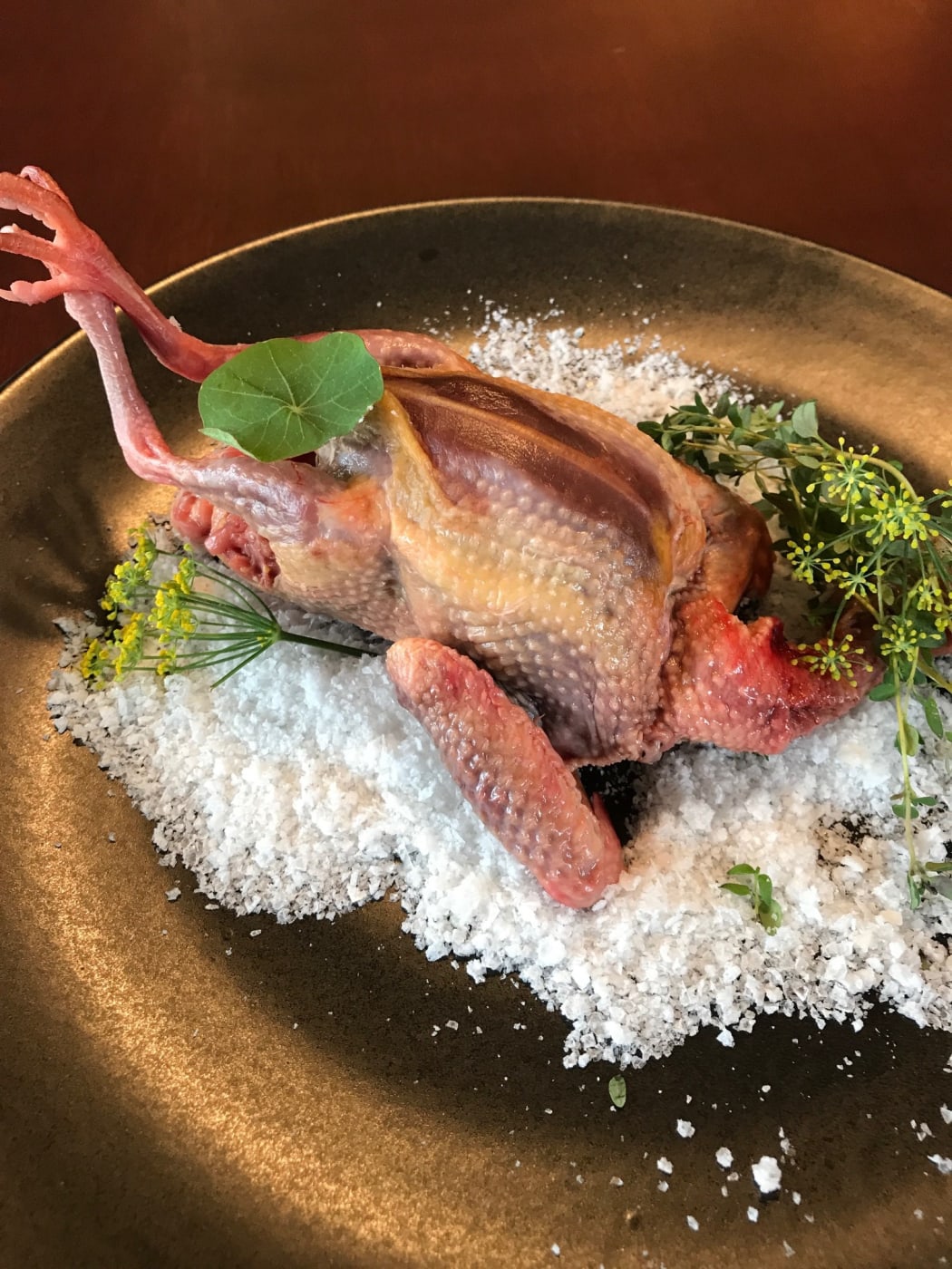 Bird Salt by Jacob Brown