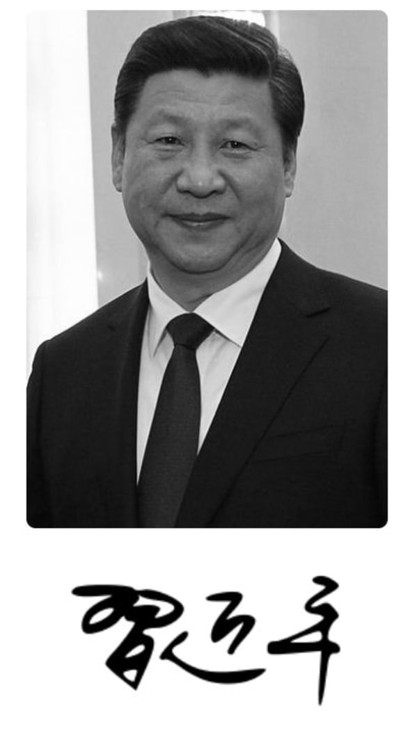 Xi Jinping's signature