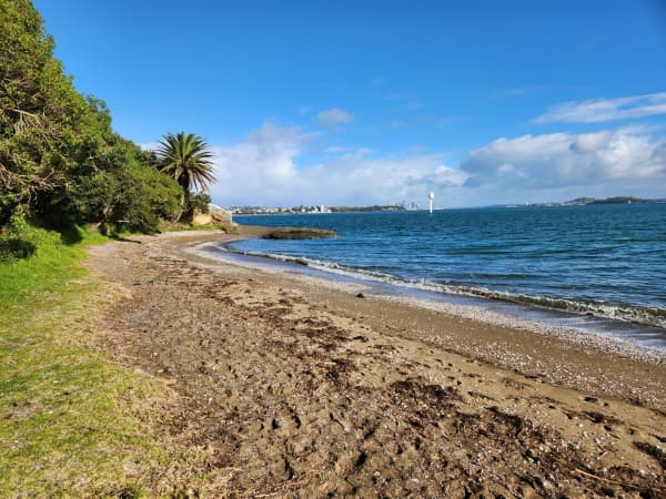A shot of Ladies Bay showing sand, sea and trees.
