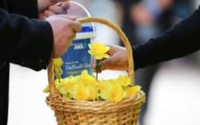 daffodil day