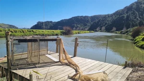 A whitebait stand on the Awakino River.