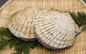 Scallops (file photo).