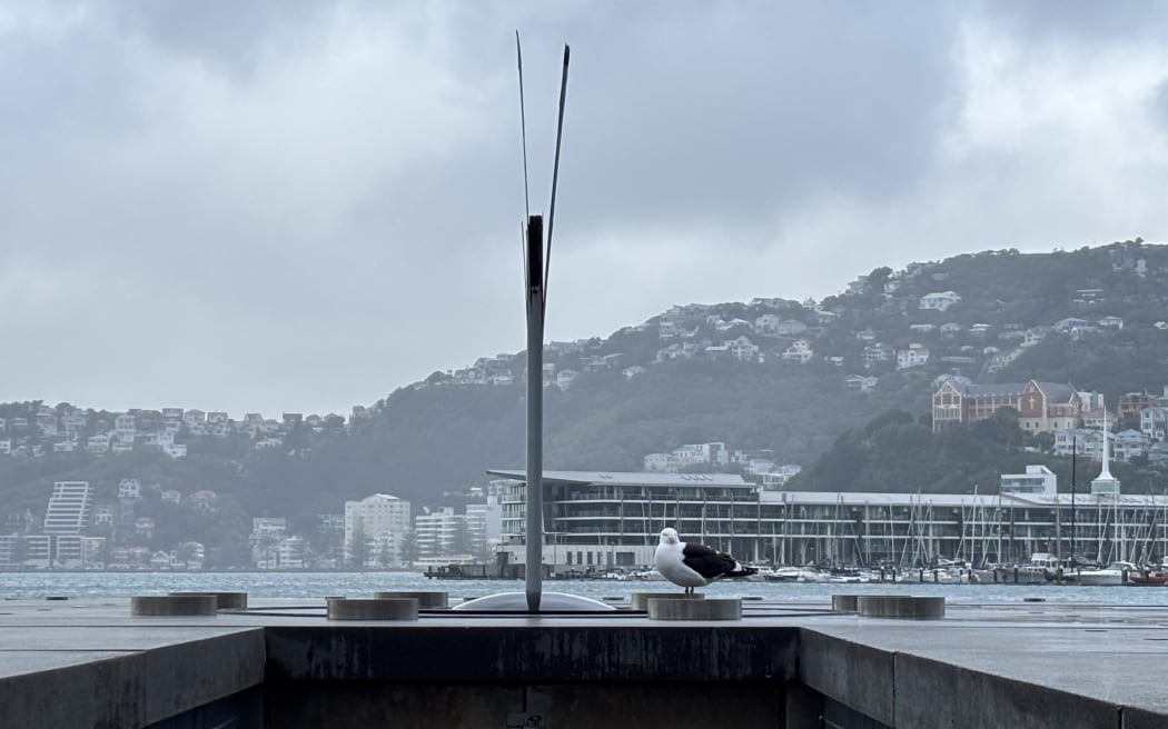 Len Lye's 'Water Whirler' sculpture damaged on Wellington's waterfront.