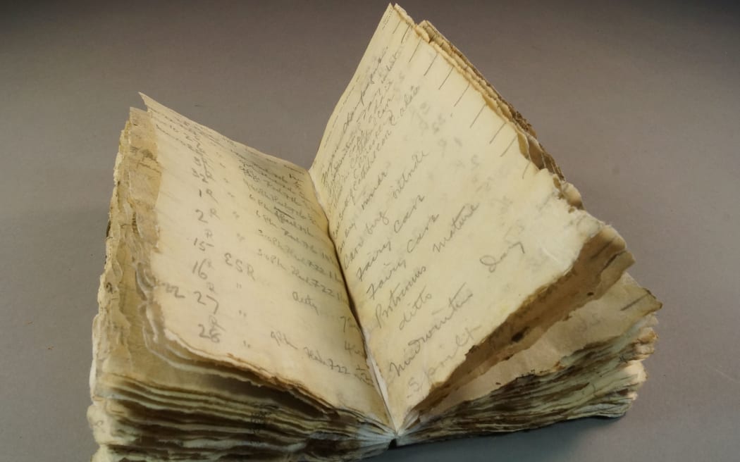 Levick's conserved notebook.