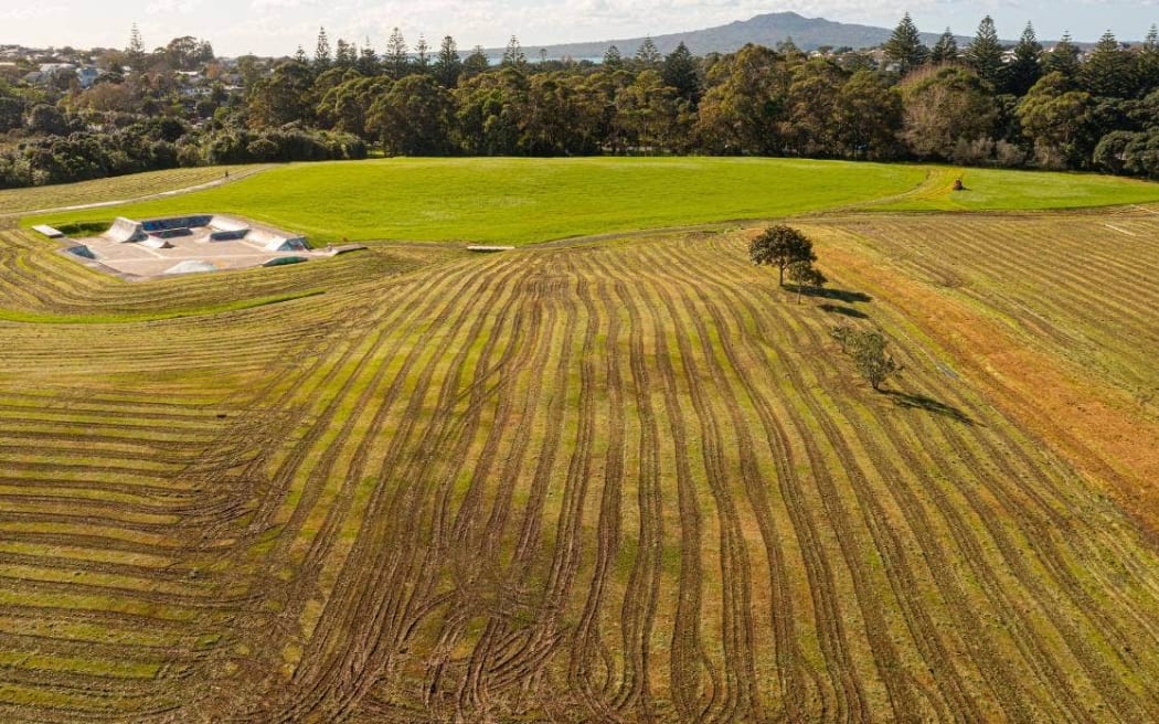 Ngataringa Park in Devonport is in a sorry state after the grass was mown two days after Auckland was hit by torrential rain.