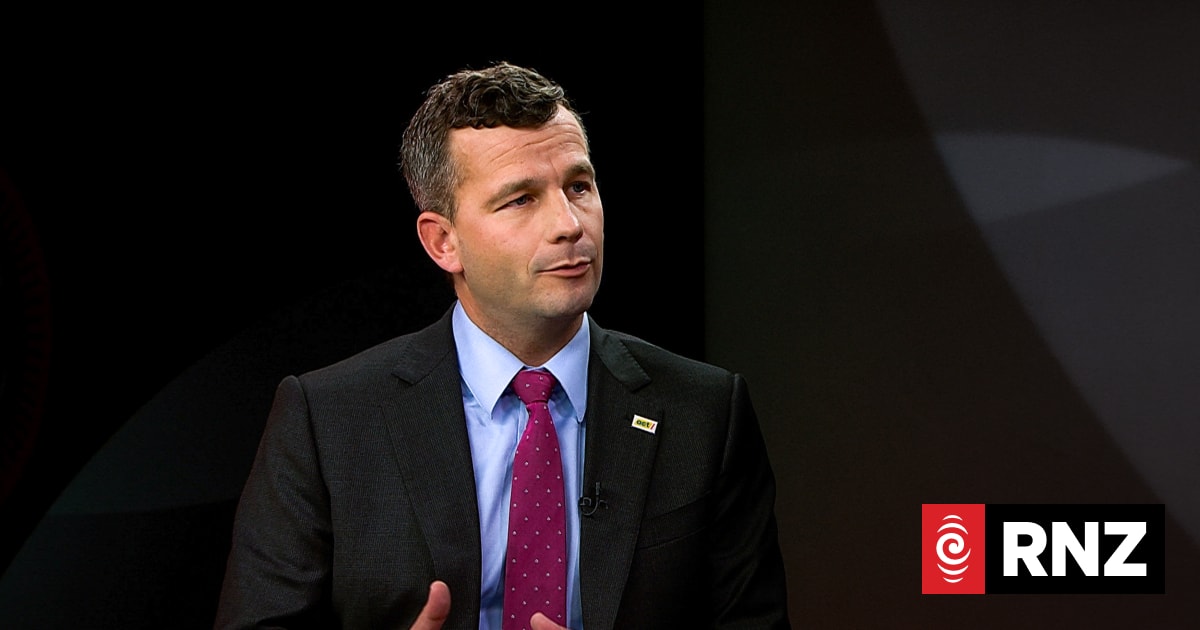 ACT leader David Seymour doesn't see why AI shouldn't write government ...
