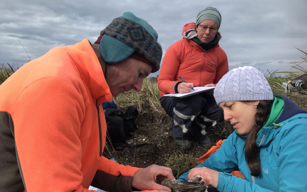 A man and a woman in warm clothes and beanies handle a small bird outside under a grey sky while another woman in warm clothes and a beanie sits in the background taking notes on paper.