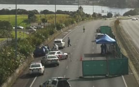 The pursuit ended on this part of the Auckland motorway.