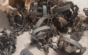 A large number of leg-hold traps were found around Sandy Point.