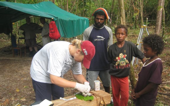 Professor Lisa Matisoo-Smith dissecting a rat on Emirau Island, Papua New Guinea.