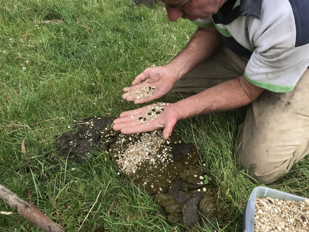Steve Wyn-Harris with his new Dung Beetles