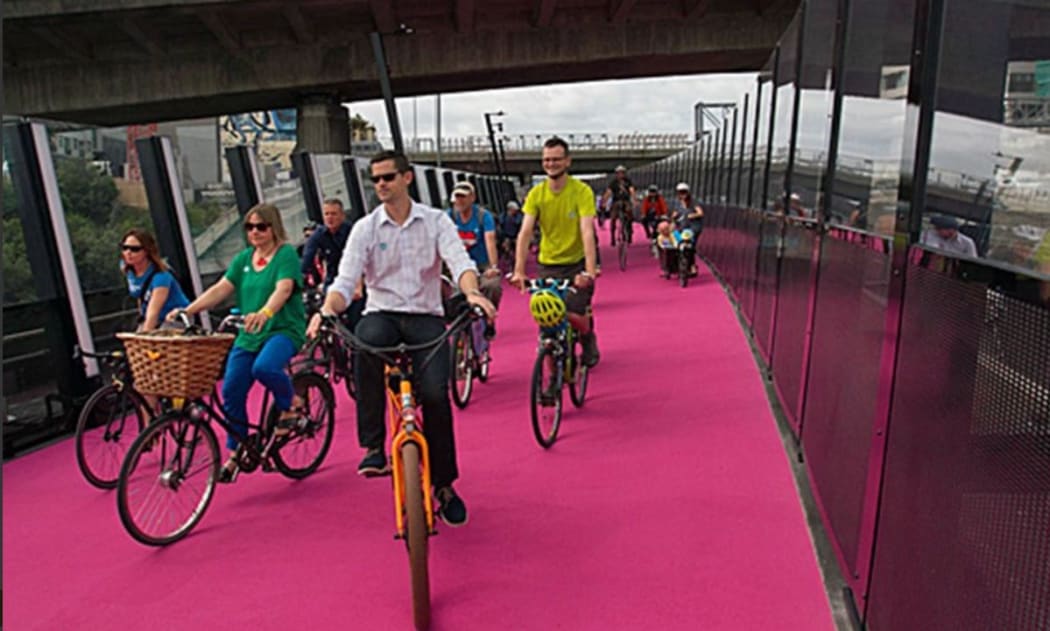Auckland's popular $15 million dollar pink-paved bike path needs resurfacing a year after it opened.