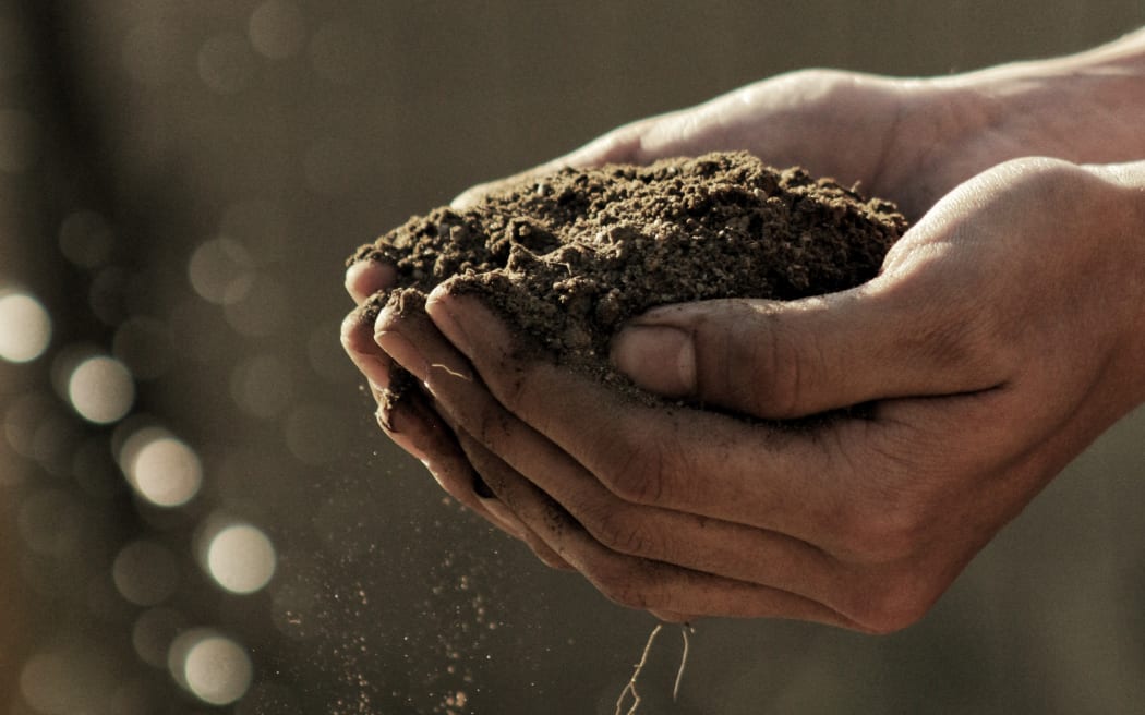 hands holding soil