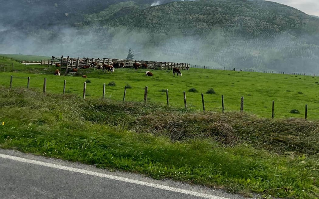 fire crews work to try and contain a huge bush fire near Porangahau.