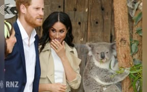 Prince Harry and Meghan Markle expecting a baby