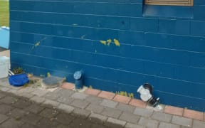 Vandals damaged the public toilets at the Gisborne Botanical Gardens over the holidays.