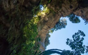 The Oparara Arch, near Karamea