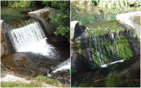 Tautau stream in Tauranga supplies 50 percent of the city’s water. Pictured first in January 2020 and March 2021.