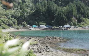 Protesters' vehicles at Mahanga Bay on the Miramar Peninsula on 3 March, 2022, a day after protesters were expelled from Parliament grounds.