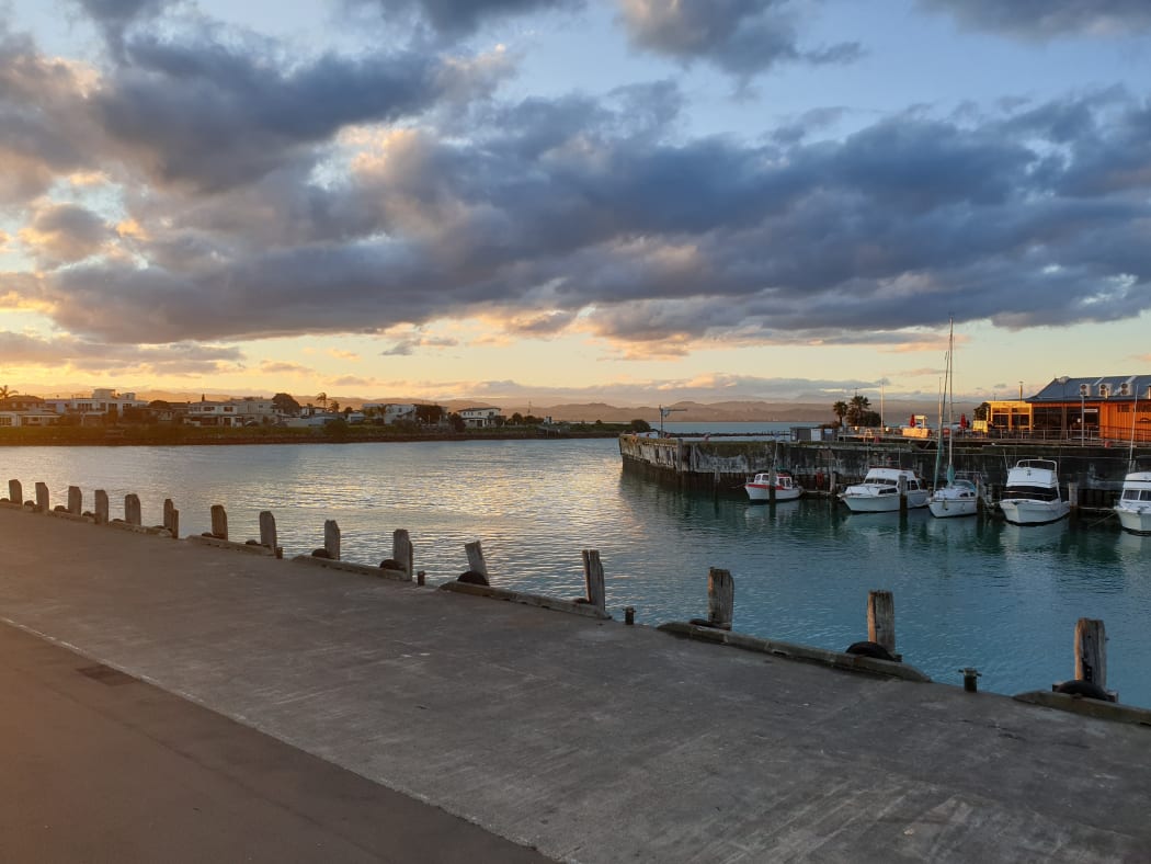 The end of the Ahuriri estuary in Napier, which has some of the worst water quality in Hawke’s Bay.