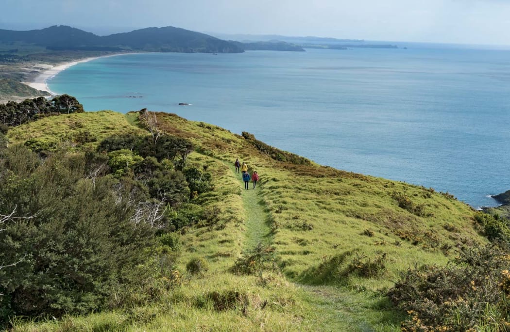 Te Whara Track near Whangarei