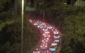 A fallen tree was blocking the right eastbound lane on SH16 under the Grafton Bridge.