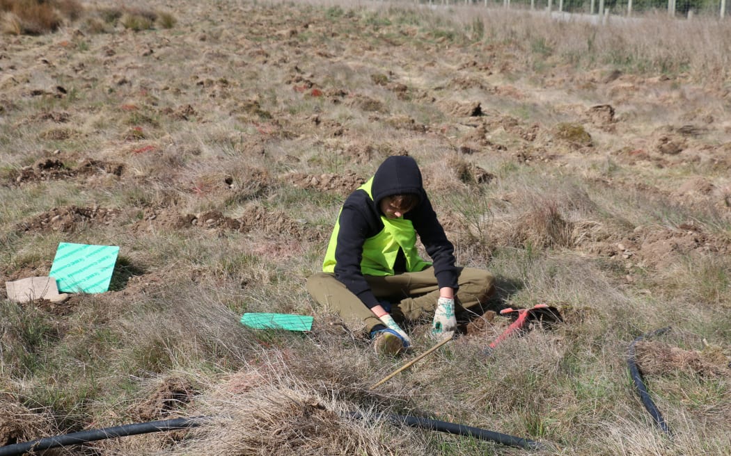 The Eyrewell skink habitat restoration school day