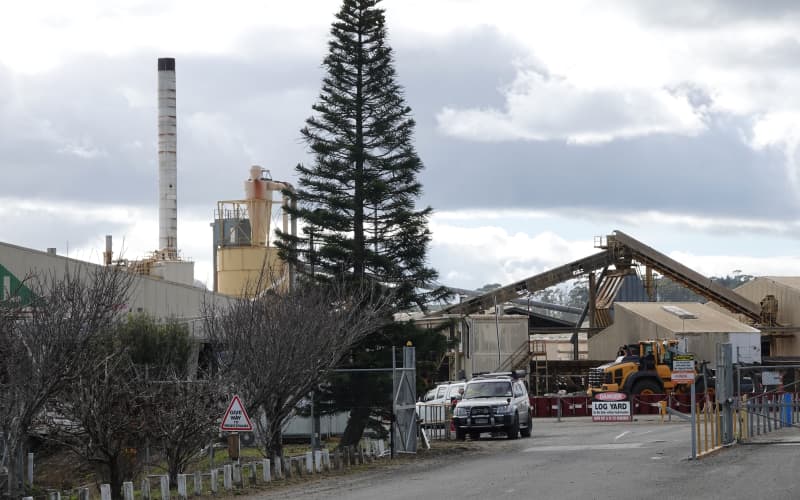 'It's a shock': Kaitāia's Northland Mill closes down two weeks early | RNZ