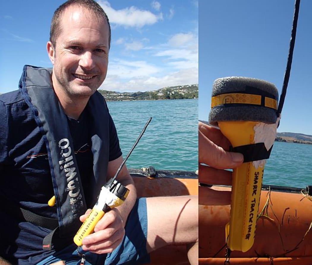 Warrick Lyon has developed a GPS tracking system that uses a floating tag, built into the empty housing of a torch, which is connected to the rig shark by a 6-metre long nylon tether.
