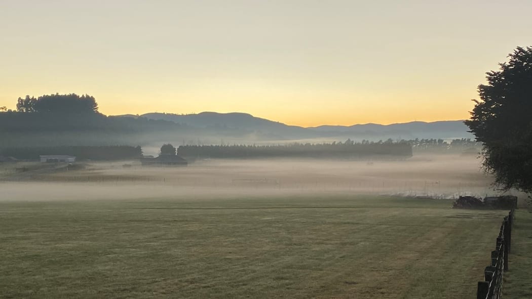 Early morning mist hanging over the South Wairarapa valley