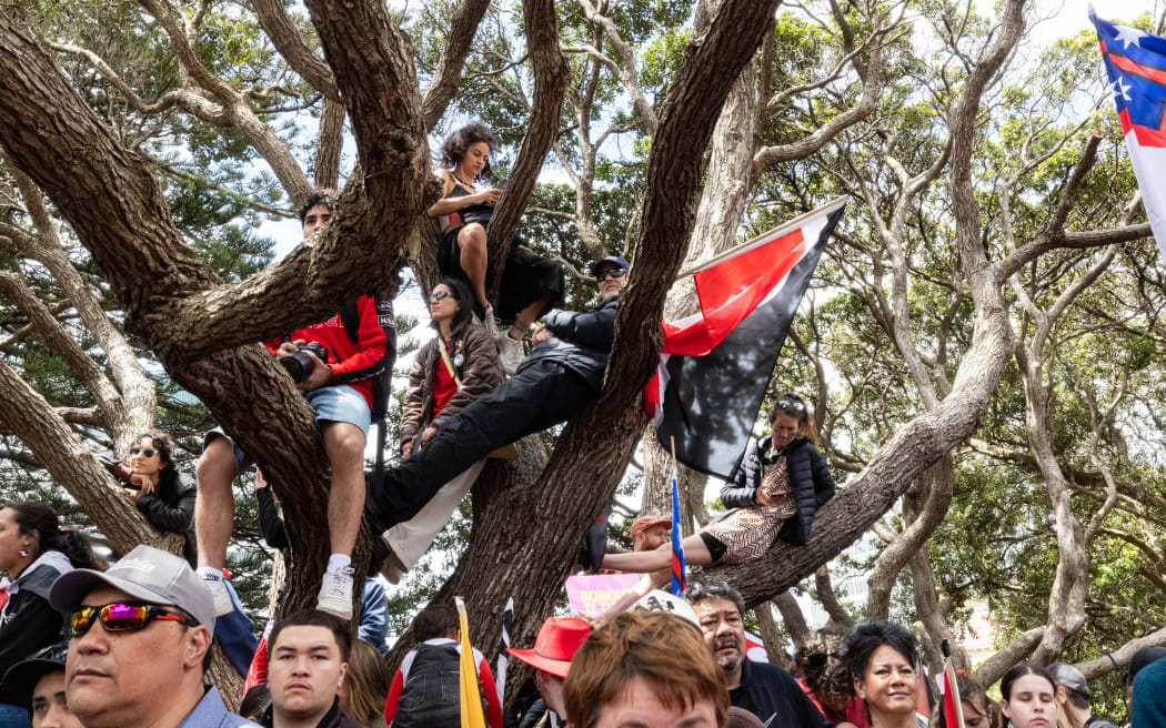 The hikoi against the Principles of the Treaty of Waitangi Bill reaches Parliament.