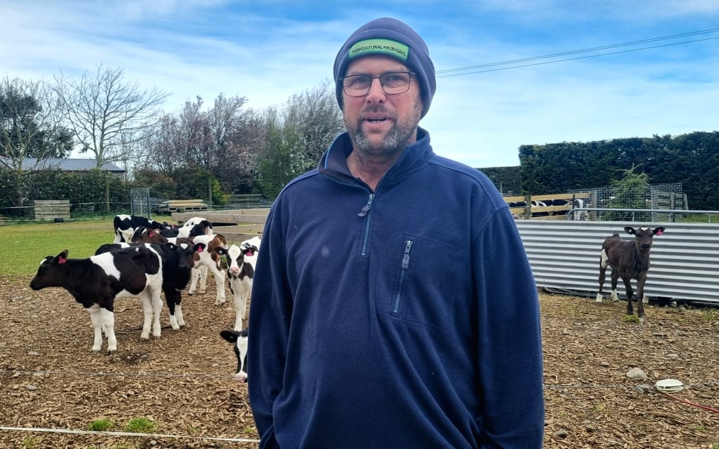 Synlait A2 dairy farmer Dan Schat at his Emerald Acres dairy farm in Darfield with new season calves.