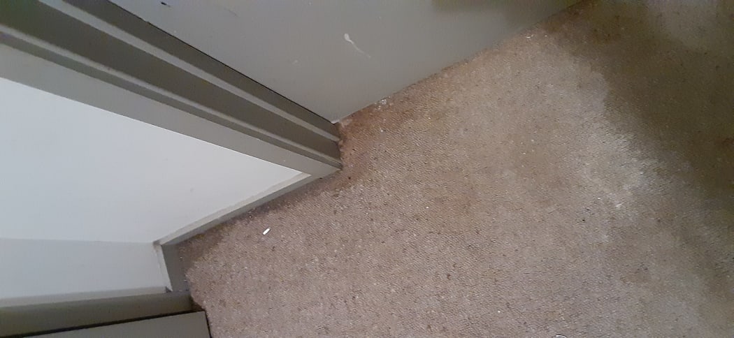 There were still patches of wet carpet after the contractors had completed their work, Anne said.
