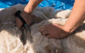 Blade shearing