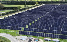 Meridian Energy to build large solar farm near Palmerston North | RNZ News